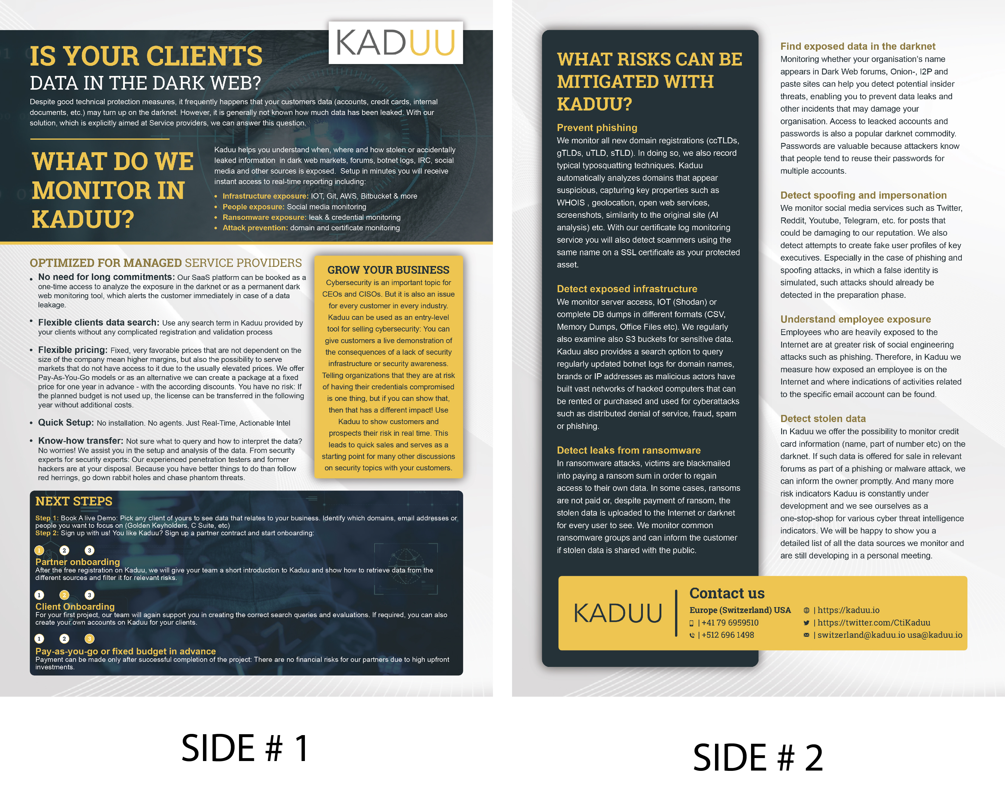 Flyer Design by Merlin Studio for this project | Design #29119271