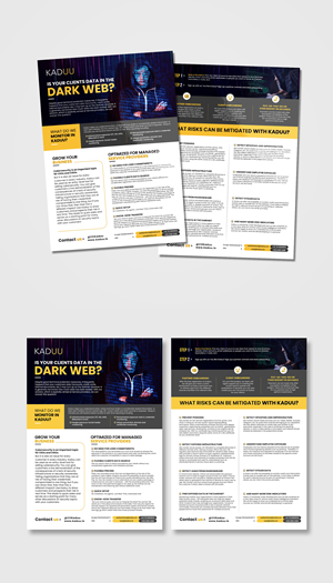 2 Pager Flyer for Cyber Security Services