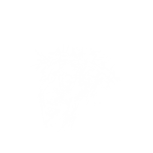Design de T-shirt par jamesmccue1 pour ce projet | Design : #29147594