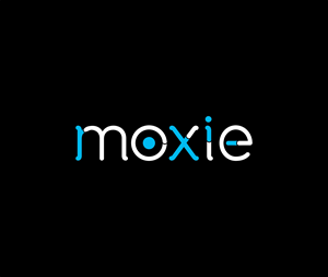 Logo Design by The Art Store