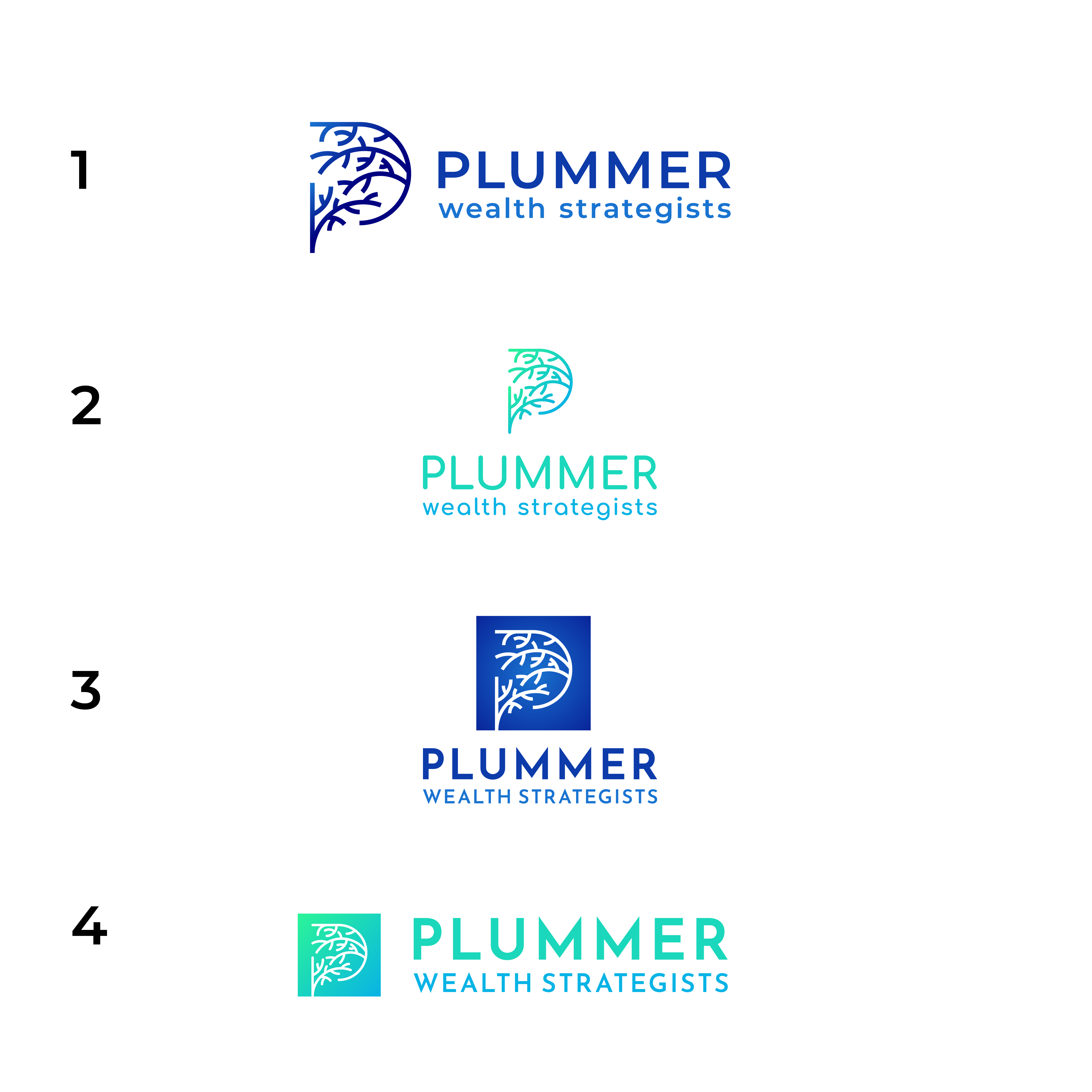 Logo Design by Brandon DZ for Plummer Financial Services, LLC | Design #29176068