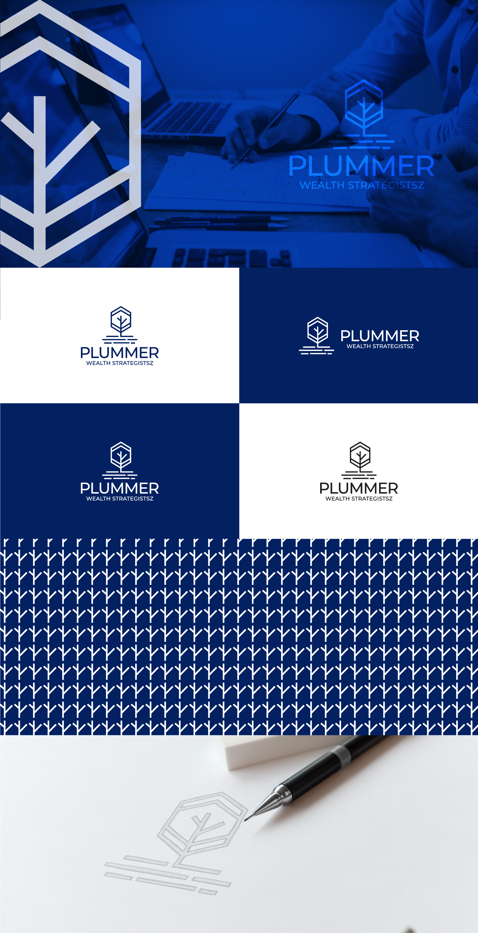 Logo Design by HWdesigns for Plummer Financial Services, LLC | Design #29209631