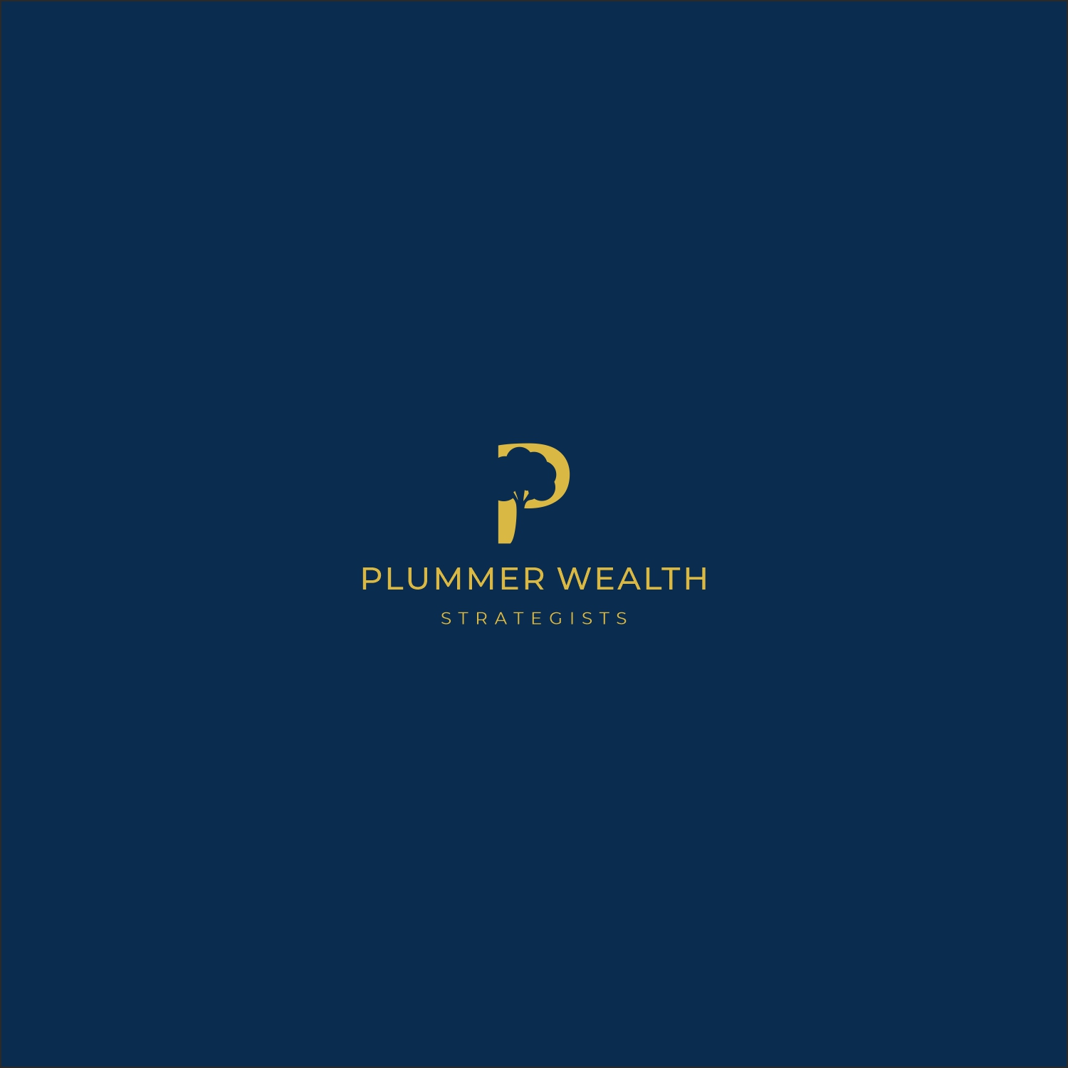 Logo Design by A10 for Plummer Financial Services, LLC | Design #29188096