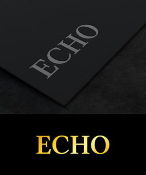 Logo Design by we with for Echo Salon | Design: #29139132