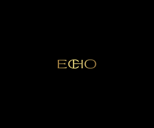 Design de Logo par Vetroff pour Echo Salon | Design : #29140387