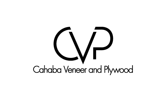 Diseño de Logo por patriciaparadesign para este proyecto | Diseño #29161020