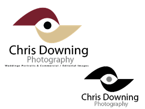 Logo Design by Spike