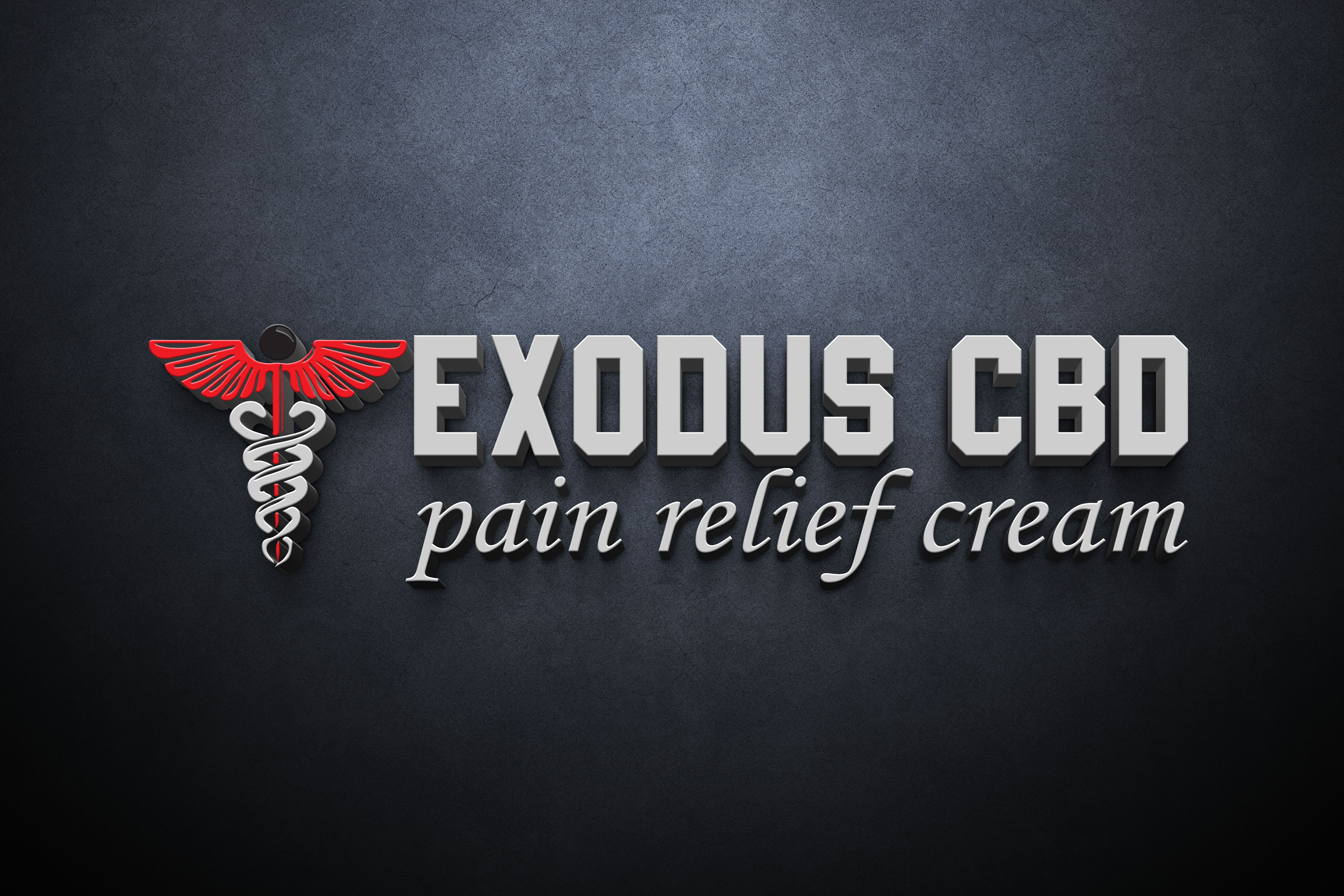 Logo Design by Arkiya Creatives for this project | Design #29129363