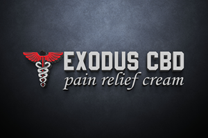 Logo Design by Arkiya Creatives