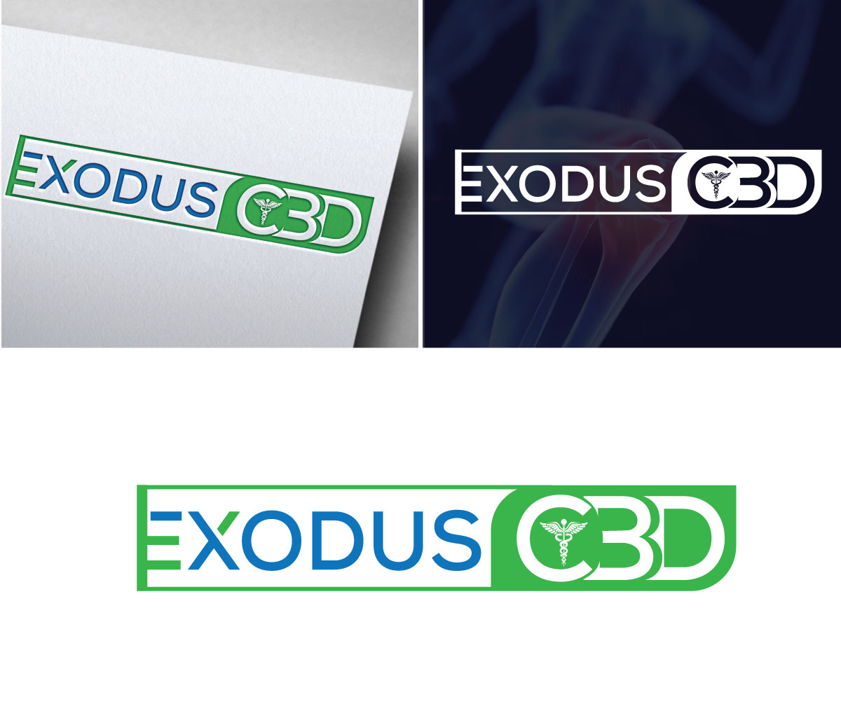 Logo Design by Om Namah Shivay for this project | Design #29132728