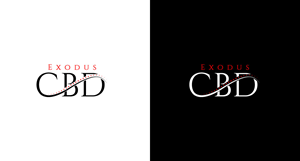 Logo Design by RS_Design for this project | Design: #29129013