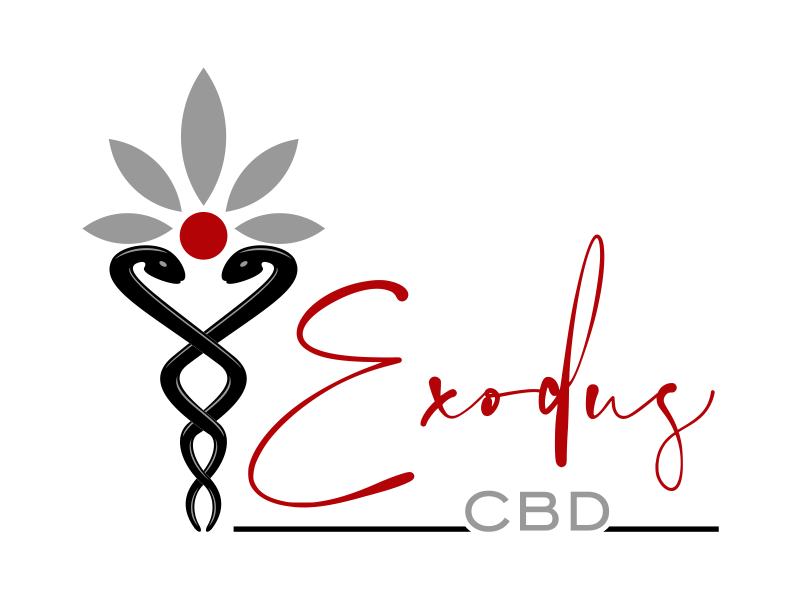 Design de Logo par rahma 5 pour ce projet | Design #29132707