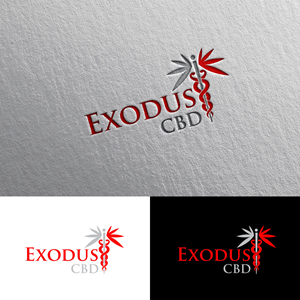 Logo Design by chris Ray for this project | Design: #29128995