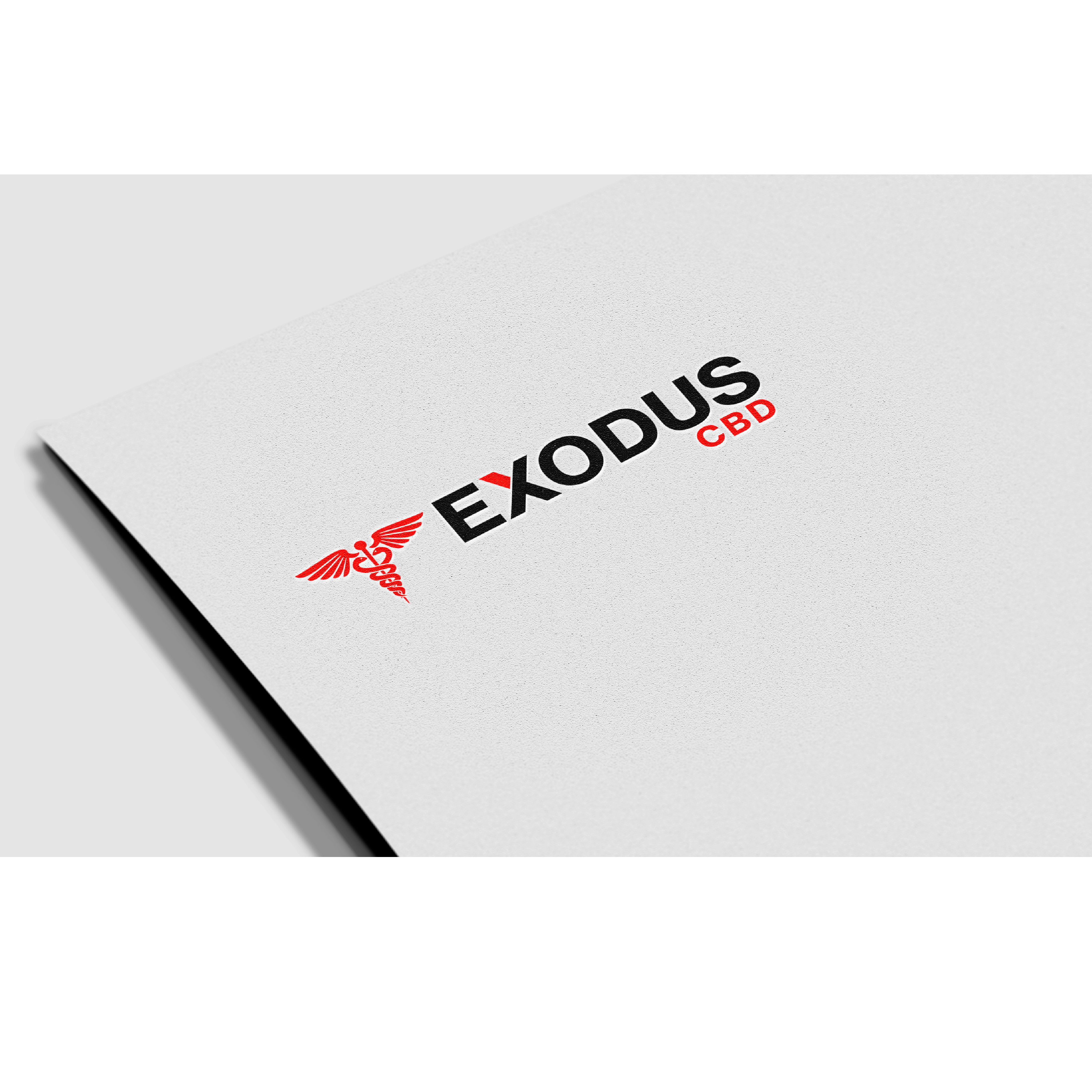 Logo Design by Designer Nayem for this project | Design #29131333