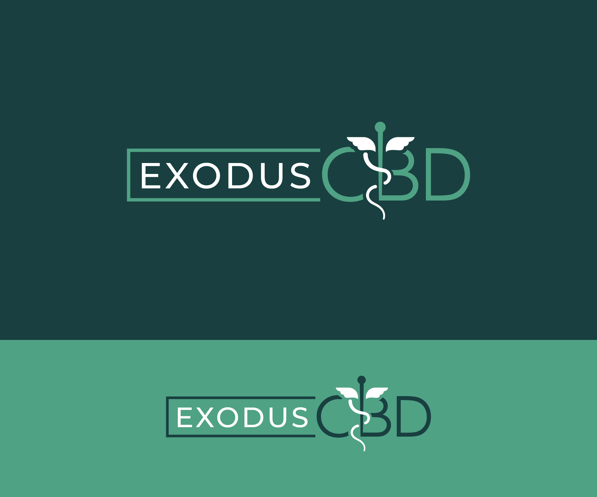 Logo Design by ecorokerz for this project | Design #29129821