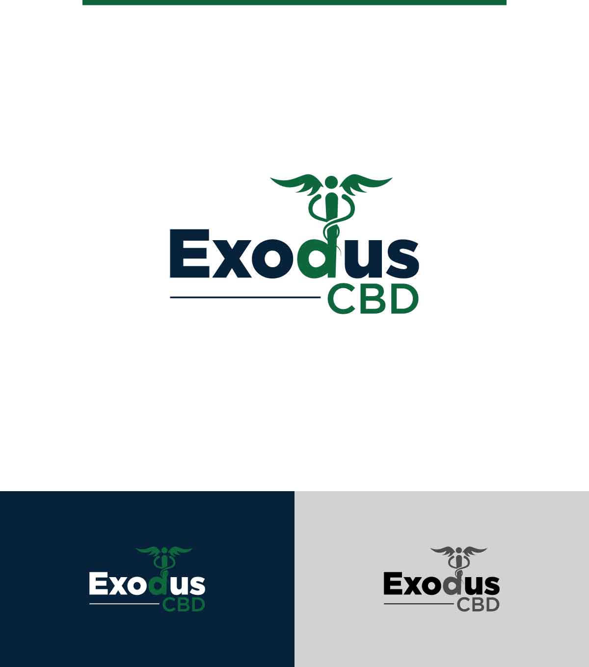 Logo Design by ecorokerz for this project | Design #29130208