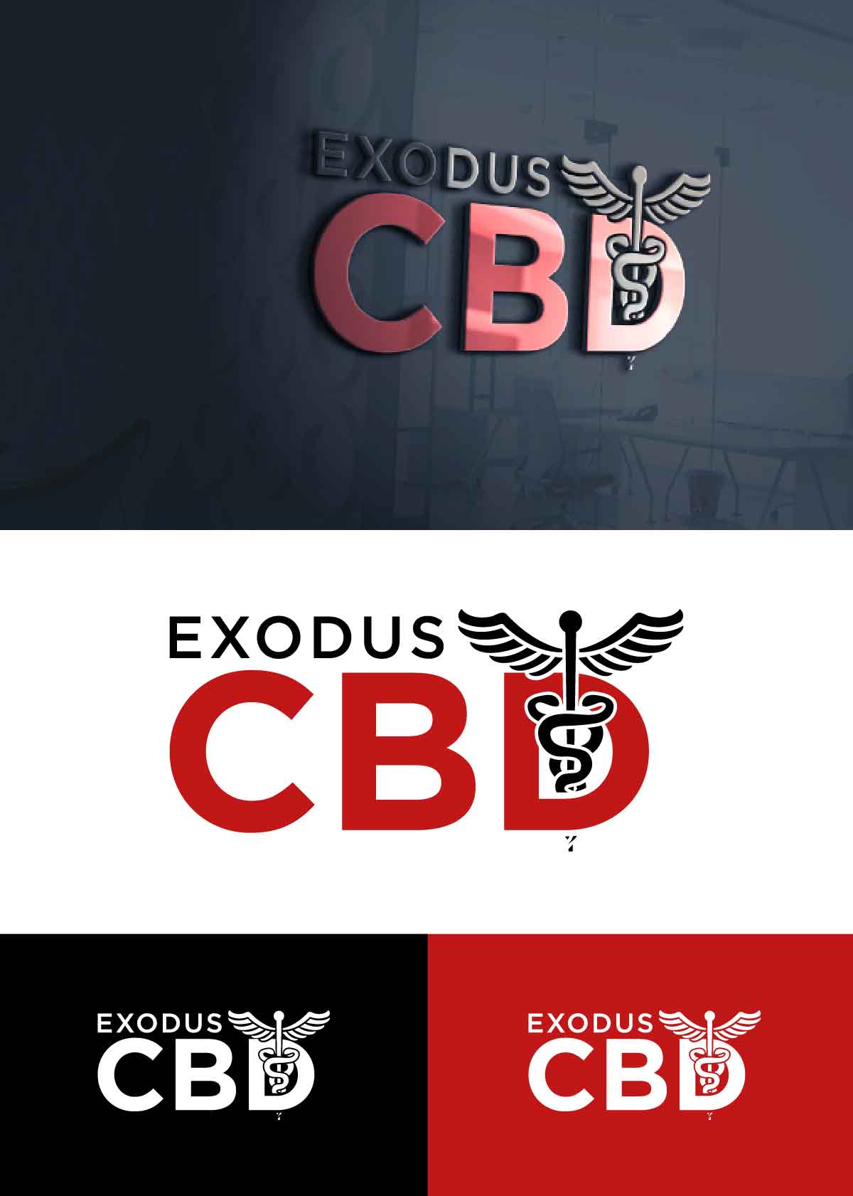 Logo Design by fly  design for this project | Design #29131884