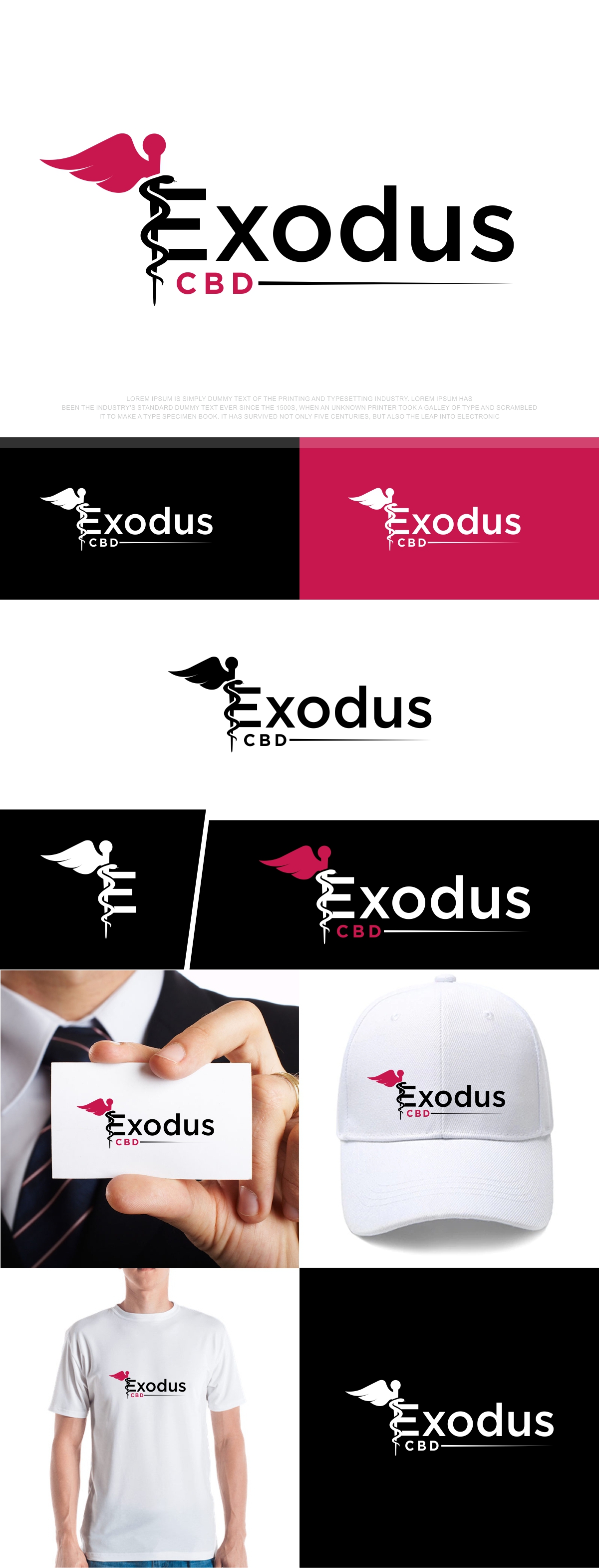 Logo Design by fly  design for this project | Design #29131885
