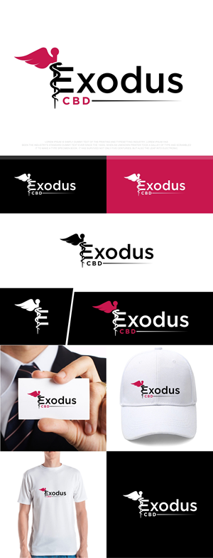 Logo Design by fly  design for this project | Design: #29131885