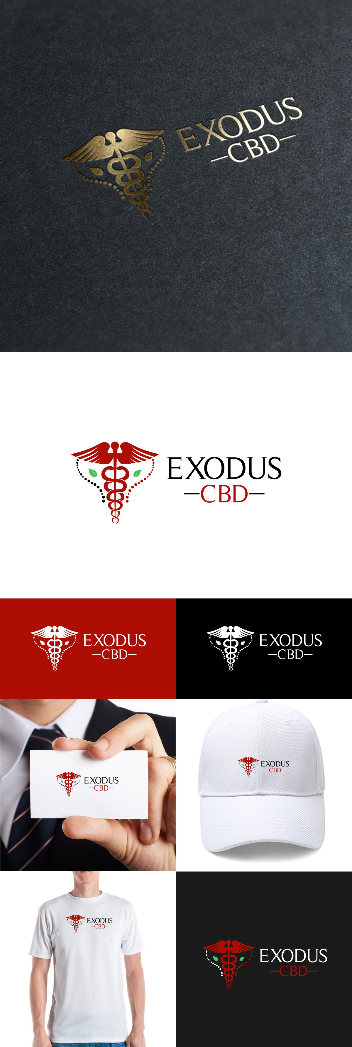 Logo Design by fly  design for this project | Design #29131895