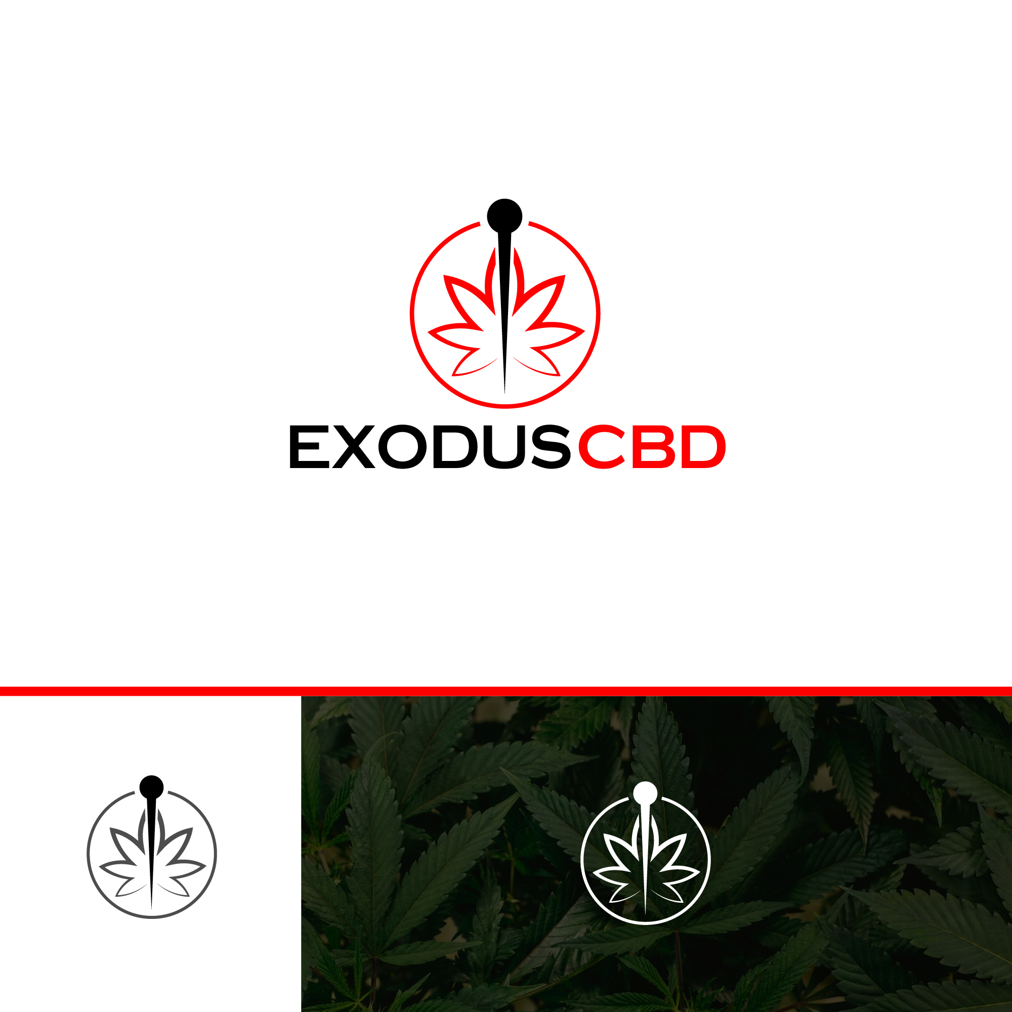 Logo-Design von webeezine für dieses Projekt | Design #29132811