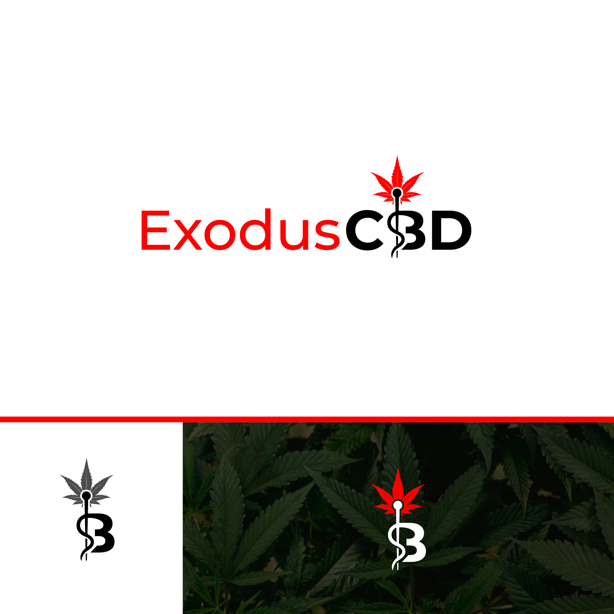 Logo Design by webeezine for this project | Design #29132812