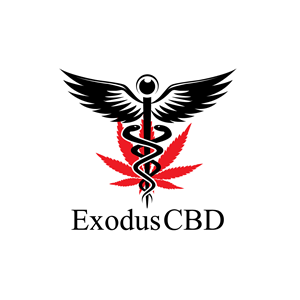 Logo Design by GODDREAMCREATION for this project | Design #29130151