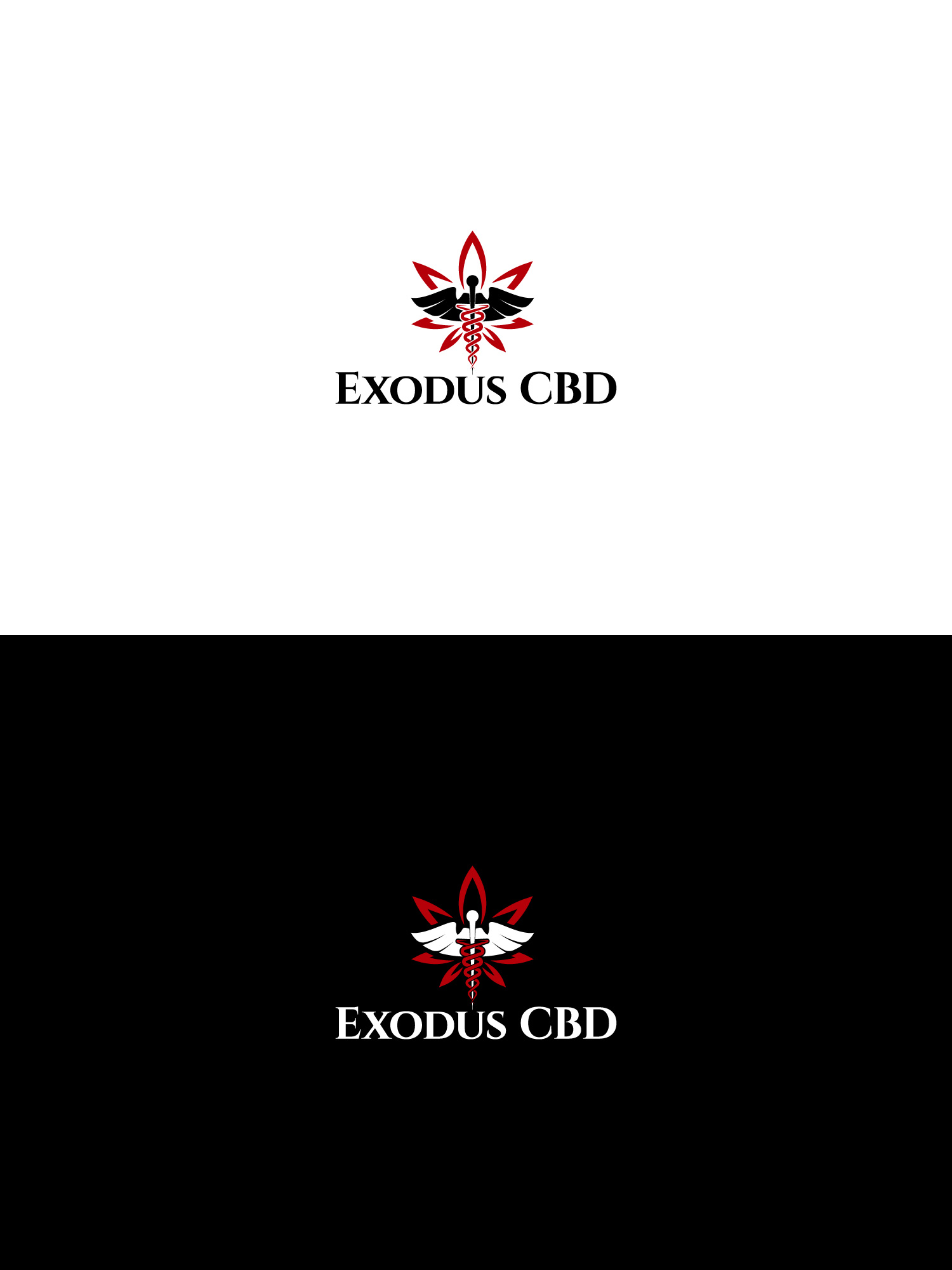 Logo Design by Haja_H2 for this project | Design #29131489