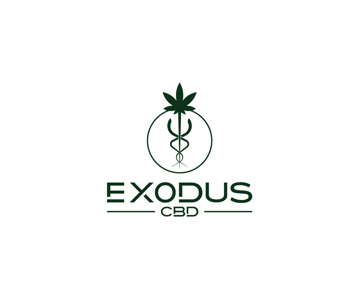 Logo-Design von Ansh Design für dieses Projekt | Design #29131783
