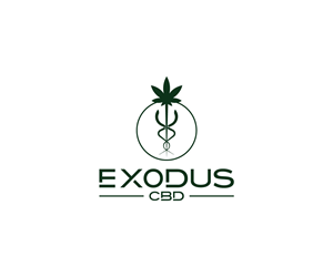 Logo Design by Ansh Design for this project | Design: #29131783