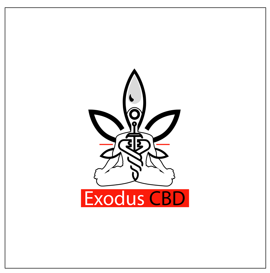 Logo Design by damithez for this project | Design #29132922