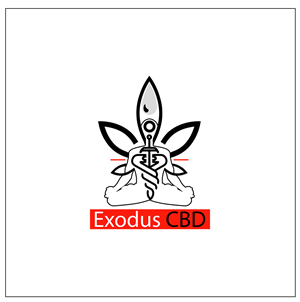 Logo Design by damithez