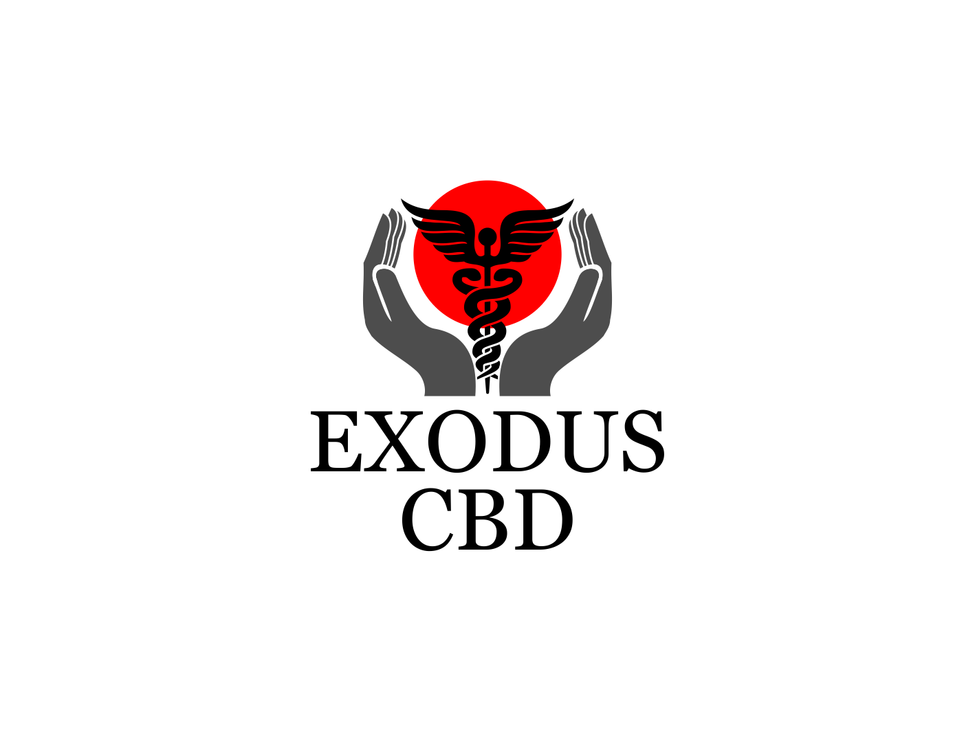 Logo Design by BNdesigner for this project | Design #29137109