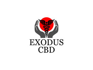 Logo Design by BNdesigner for this project | Design: #29137109