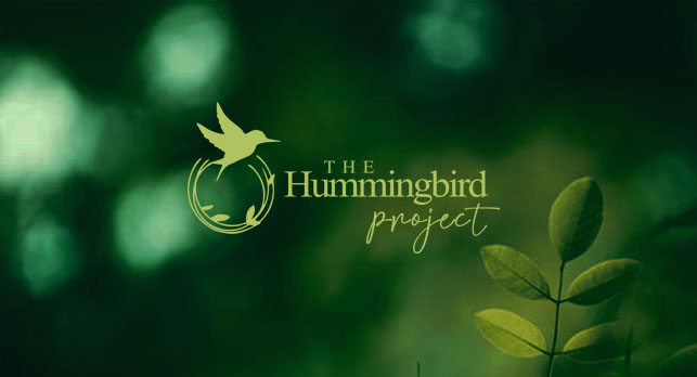 Logo Design by nikkiblue for this project | Design #29145365