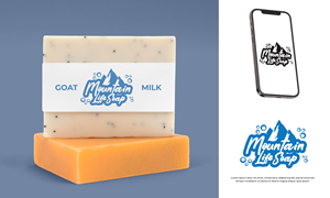 Logo Design by ILLUSTRATOR PRO for Boardwalk Management Services Inc. | Design: #29180275