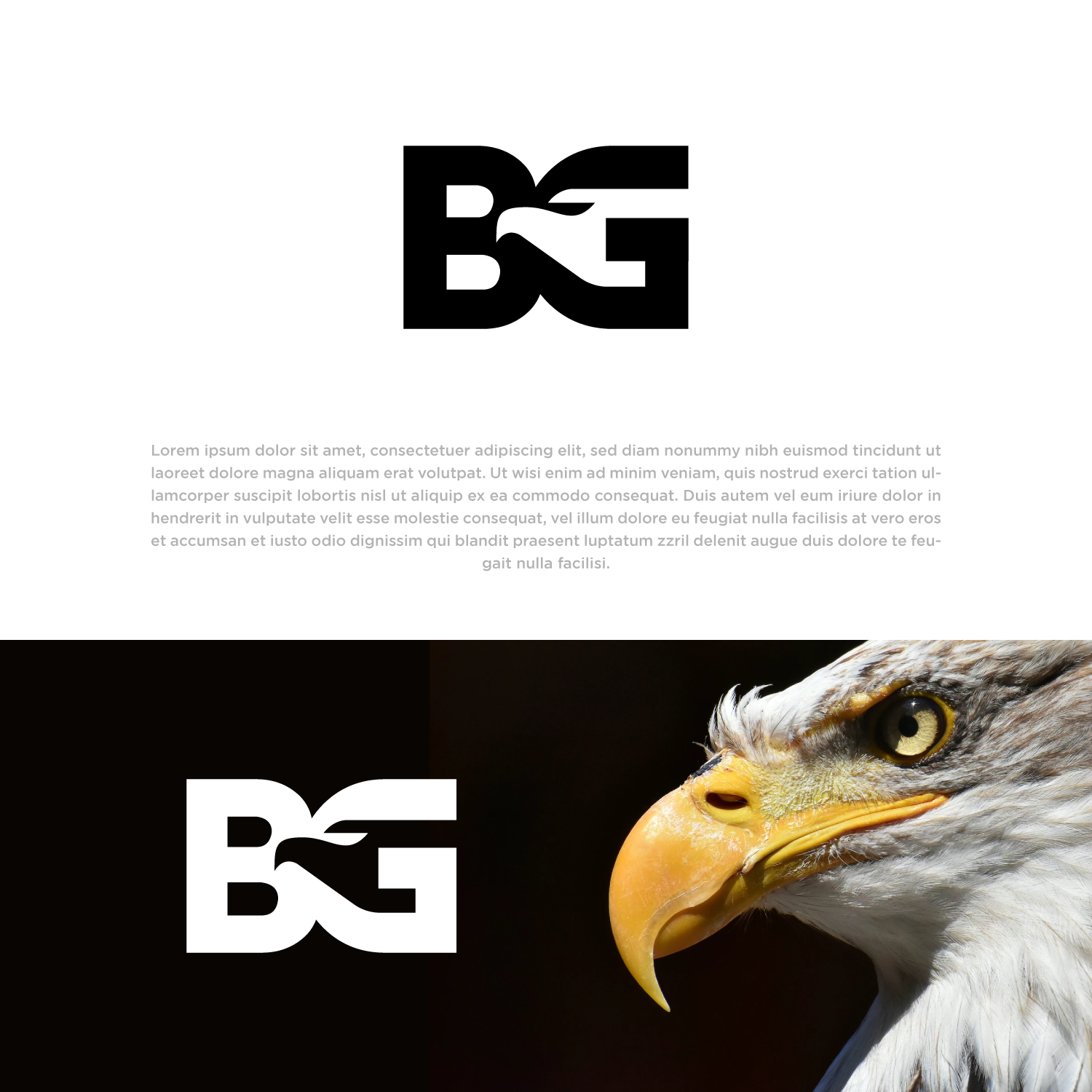 Logo Design by Abdul 20 for this project | Design #29155281