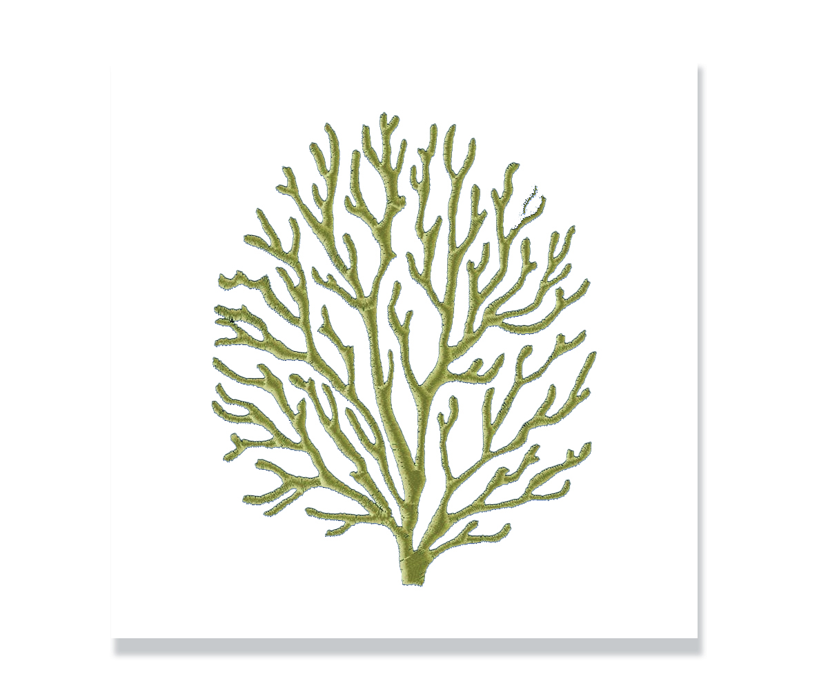 Design de Vêtement par oltredisegno pour ce projet | Design #29161604