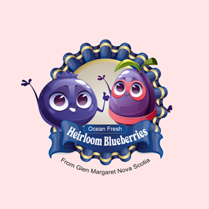 Blueberries farm | Graphic Design by DeriMH