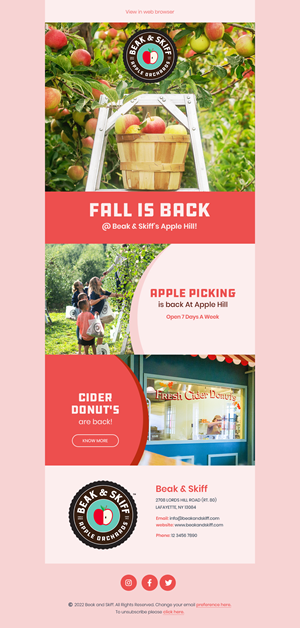 Email Marketing Design by Expert Designer
