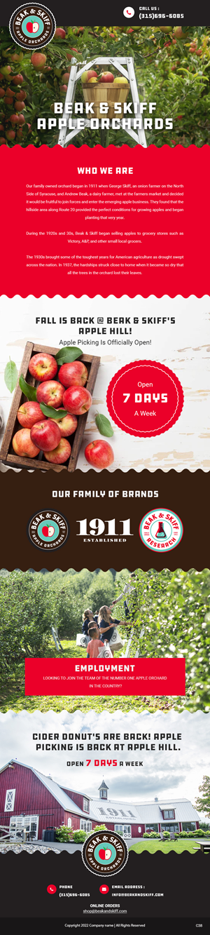 Email Marketing Design by pb for this project | Design: #29169767