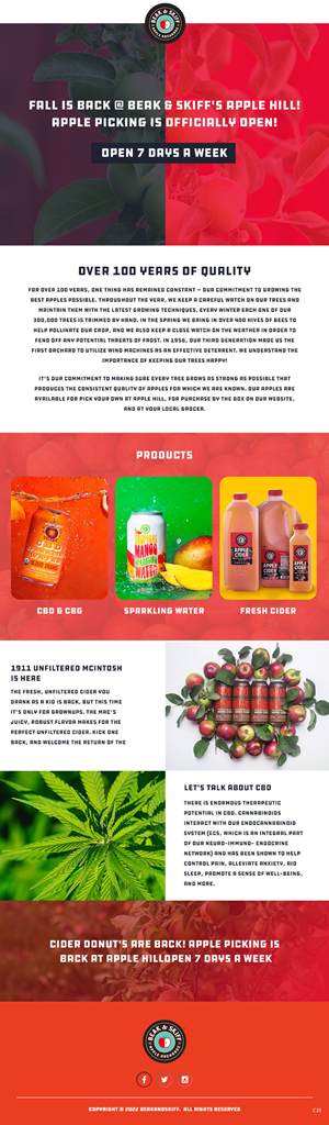 Email Marketing Design by pb for this project | Design: #29169768
