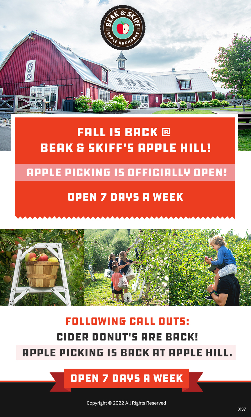 Email Marketing Design by pb for this project | Design #29169777