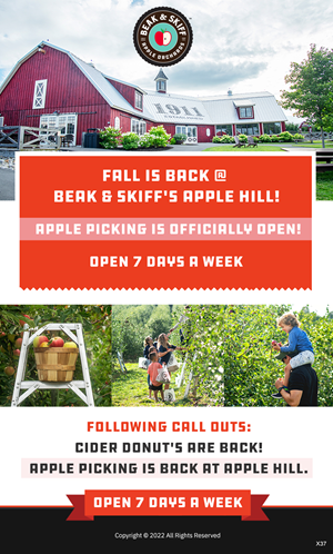 Email Marketing Design by pb for this project | Design: #29169777