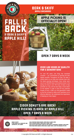 Email Marketing Design by pb for this project | Design: #29174149