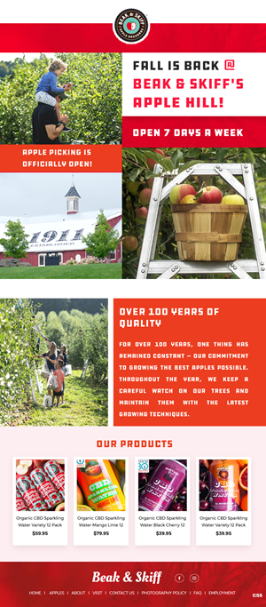 Email Marketing Design by pb for this project | Design: #29174150