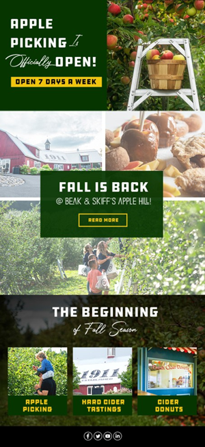 Email Marketing Design by Bright Star