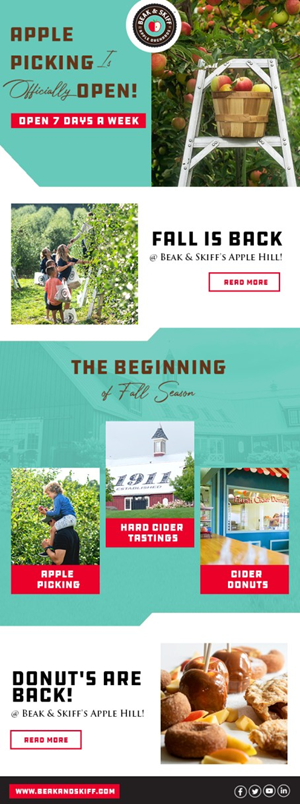 Email Marketing Design by Bright Star for this project | Design #29167331
