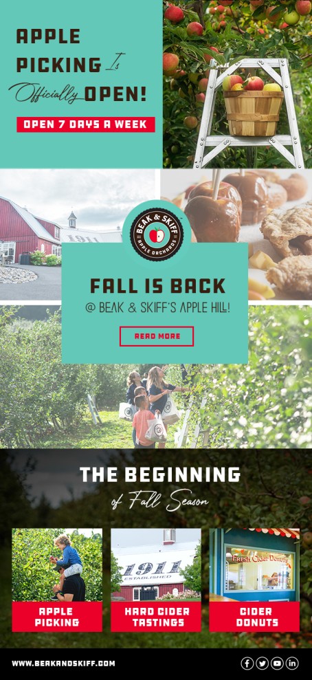 Email Marketing Design by Bright Star for this project | Design #29167332