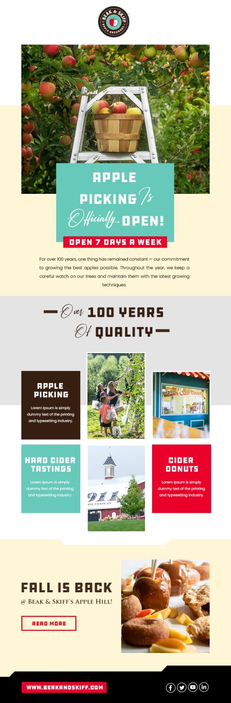 Email Marketing Design by Bright Star for this project | Design #29170737